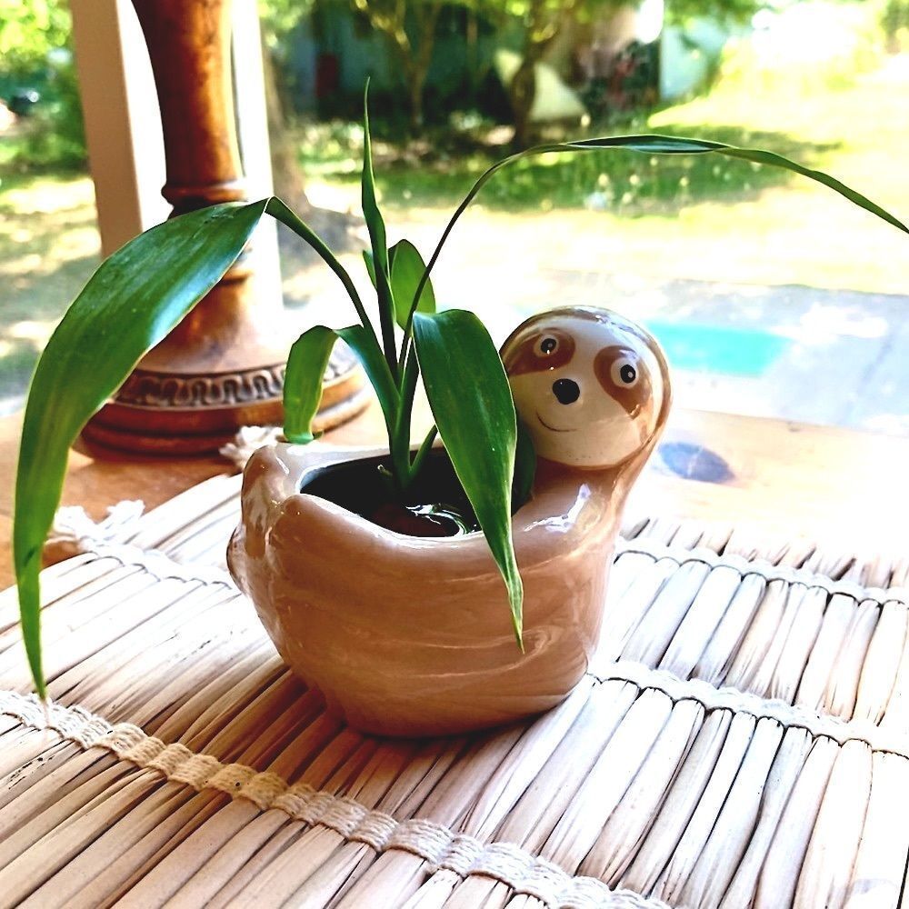 Sloth Planter Pot  COMES WITH HOUSEPLANT